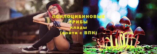 первитин Богородицк