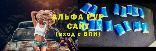 прущие грибы Бородино