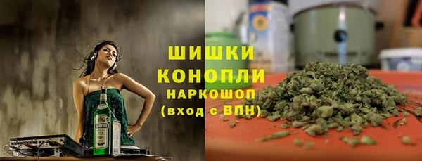 шишки Богородск