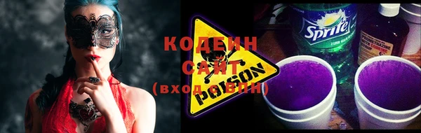шишки Богородск