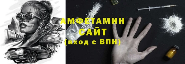 прущие грибы Бородино