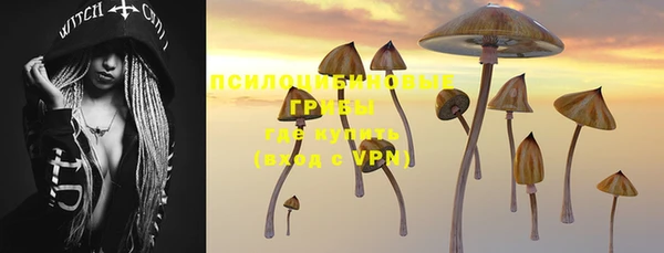 первитин Богородицк