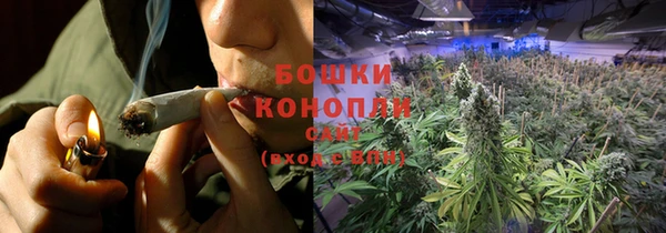 шишки Богородск