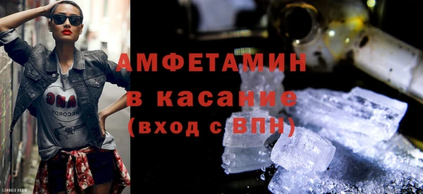 прущие грибы Бородино